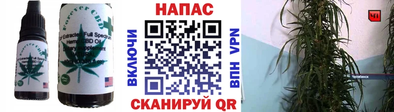 Еда ТГК конопля  купить наркотики цена  Камызяк 
