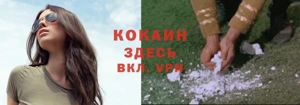 гидра Абаза