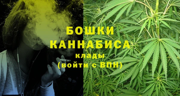 гидра Абаза
