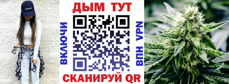 наркотики  Камызяк  Марихуана White Widow 
